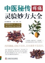 中医绝技大全系列  中医秘传疼痛灵验妙方大全  修订典藏第2版 封面