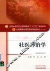全国中医药行业高等教育“十三五”规划教材  壮医外治学  第10版 封面