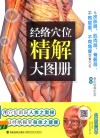 经络穴位精解大图册 封面