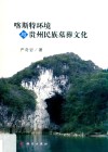 喀斯特环境与贵州民族墓葬文化 封面