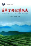 百年金奖信阳毛尖 封面