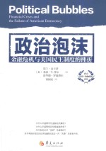 政治泡沫 封面