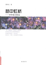 梦中虹桥  谭仲池诗歌选 封面