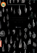 中国牙形刺生物地层 封面