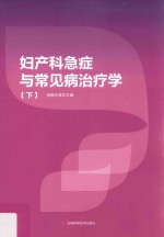 妇产科急症与常见病治疗学  下 封面