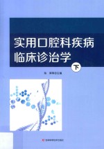 实用口腔科疾病临床诊治学  下 封面