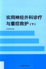 实用神经外科诊疗与重症救护  下 封面