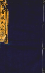 富春凌氏宗谱  亨 封面