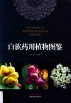 白族药用植物图鉴 封面