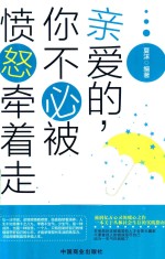 亲爱的，你不必被愤怒牵着走 封面