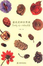 看花是种世界观 封面