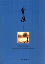 青痕 封面