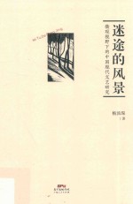 迷途的风景  微观视野下的中国现代文艺研究 封面