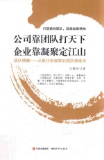 公司靠团队打天下  企业靠凝聚定江山  打造狼性团队，筑就蚁群精神 封面