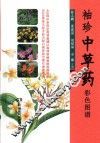 袖珍中草药彩色图谱 封面