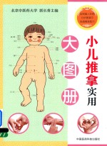 小儿推拿实用大图册  真人彩图  分步骤演示  快速精准取穴 封面