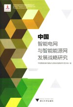 中国智能电网与智能能源网发展战略研究 封面