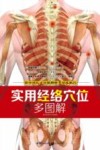 实用经络穴位多图解 封面