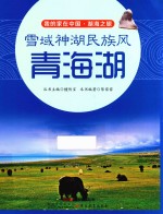 雪域神湖民族风  青海湖 封面
