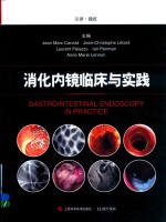 消化内镜临床与实践 封面