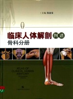 临床人体解剖图谱  骨科分册 封面