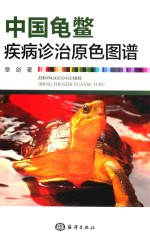 中国龟鳖疾病诊治原色图谱 封面