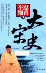 不忍细看的大宋史 封面