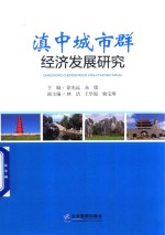滇中城市群经济发展研究 封面