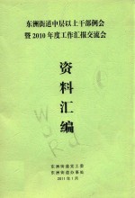 东洲街道中层以上干部例会暨2010年度工作汇报交流会资料汇编 封面