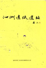 富阳市第三次全国文物普查报告  1  泗洲造纸遗址 封面