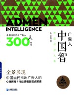 广告人  中国智  中国当代杰出广告人300人传记  传媒经理人卷 封面