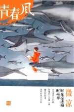 青春风特辑  微凉  2017版 封面