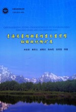 青海省基性超基性岩与岩浆型铜镍硫化物矿床 封面