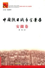 中国抗日战争全景录  安徽卷 封面