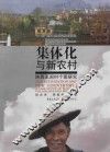 集体化与新农村  陕西王涧村个案研究 封面
