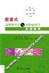 图谱式动物组织学与动物病理学实验教程 封面