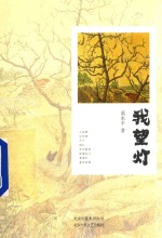 我望灯 封面