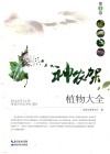 神农架植物大全  第1卷 封面