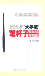 大手笔  笔杆子是这样炼成的 封面