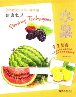 绘画技法  水果 封面
