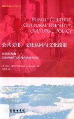公共文化、文化认同与文化政策  比较的视角 封面