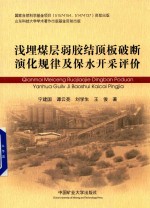 浅埋煤层弱胶结顶板破断演化规律及保水开采评价 封面