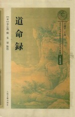 南宋及南宋都城临安研究系列丛书  道命录 封面