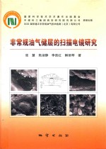 规油气储层的扫描电镜研究 封面