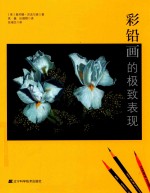 彩铅画的极致表现 封面