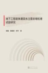 地下工程岩体涌突水注浆封堵机理试验研究 封面