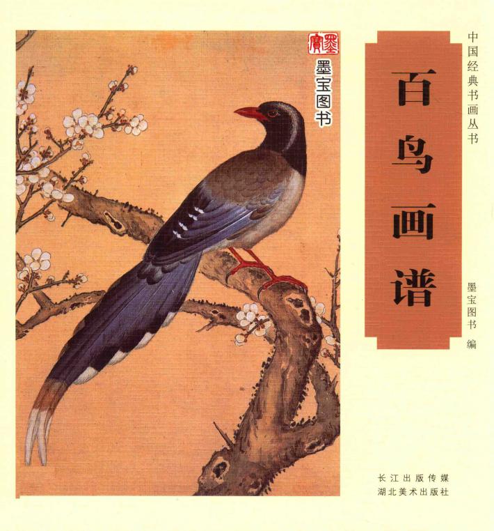 绘画书籍  百鸟画谱 封面