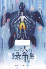 一个人的绿龟岛 封面