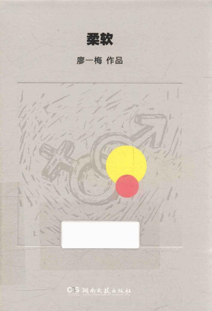 廖一梅  柔软 封面