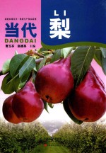 当代梨 封面